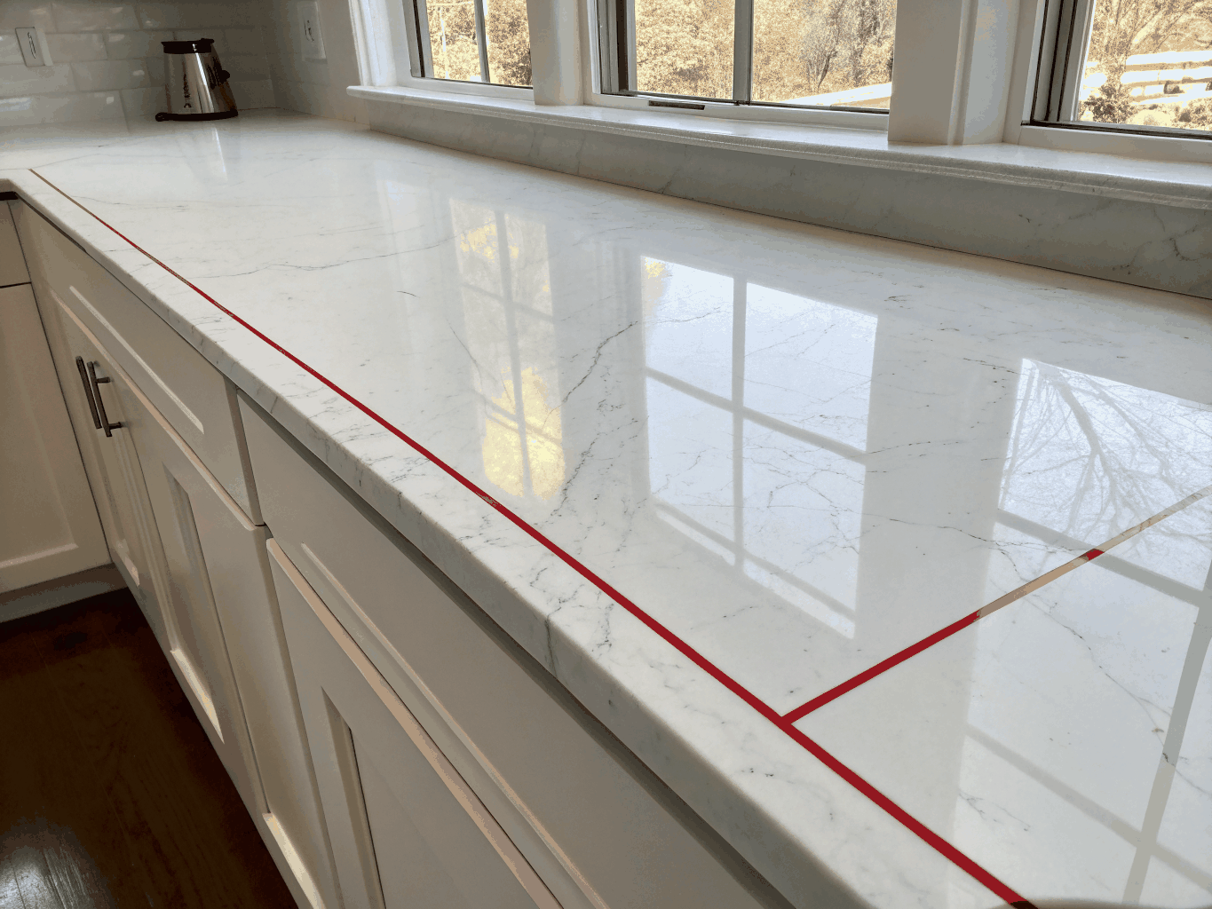 Ant trail along kitchen bench and splashback in Auckland home