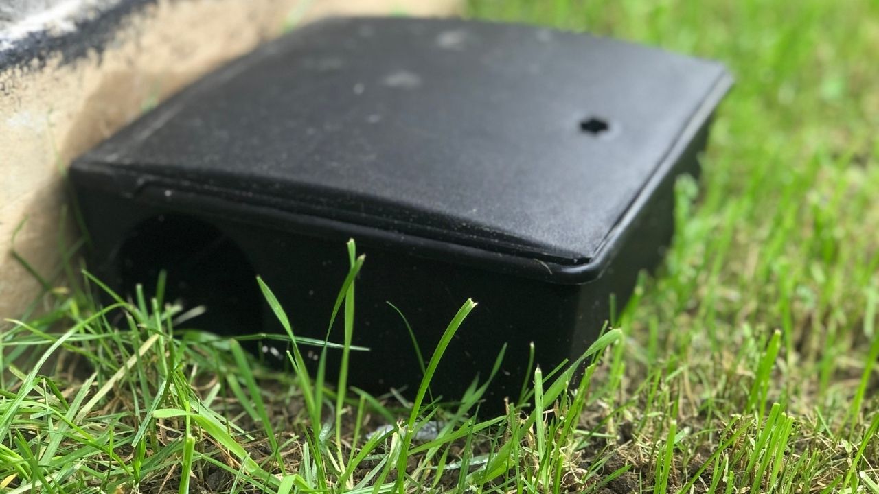 Eco Pest Control branded tamper-proof rodent bait station placed at an Auckland property