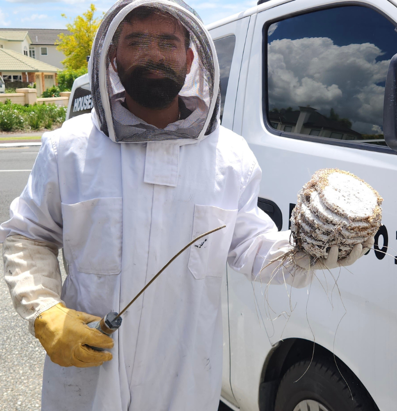 Certified pest technician in full protective bee suit applying dust treatment to a wasp nest